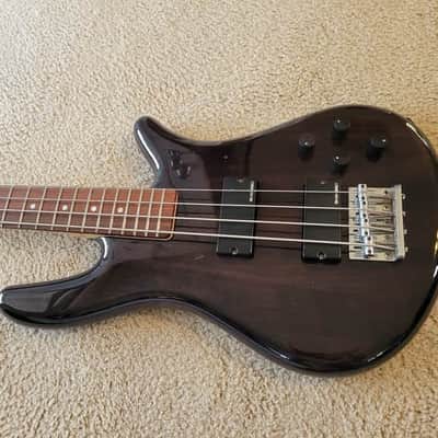 Spector Performer Early 2000's Transparent Brownish Gloss image 6