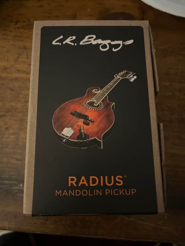 LR Baggs Radius-Mandolin pickup image 1