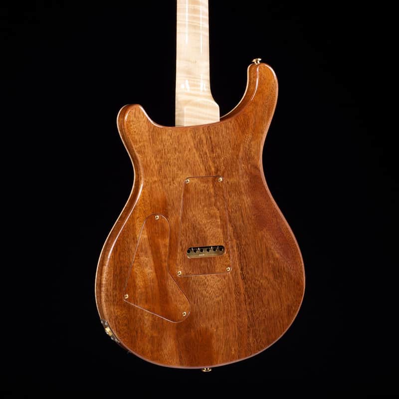 PRS Custom 24 Semi-Hollow Private Stock image 3