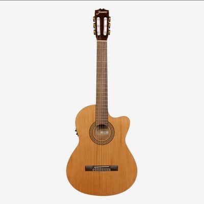 Jasmine JC27CE-NAT Nylon String Acoustic Electric Classical Guitar. Natural Finish image 11