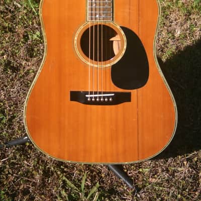 1970s Morris W100D B. Rosewood Jacaranda Body, Tree of Life, Solid Spruce Top, Pick up +Hard Case image 3