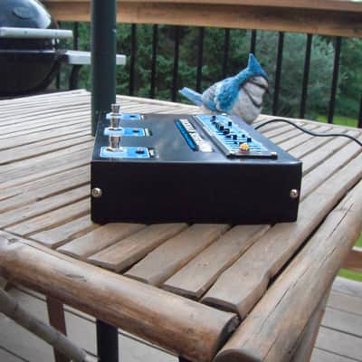Rockman Sustainor 200 pedal image 6