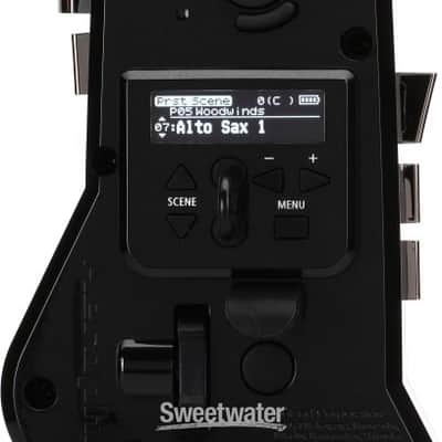 Roland Aerophone Pro AE-30 Digital Wind Instrument - Silver (AE30Prod2) image 6