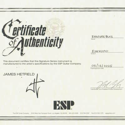 ESP James Hetfield Vulture - Black Satin image 17