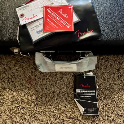 Fender USA Nile Rodgers Hitmaker Stratocaster – Collector Condition (Like New) 2022 image 6