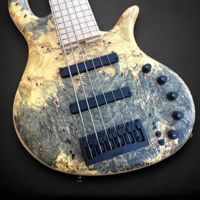 Elrick EVO Gold 6 String Buckeye 2024 - Natural image 4