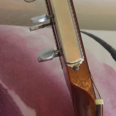 Eugene Howard Parlor Guitar 1890-1910 image 6