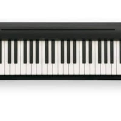 Roland FP-10 88-Key Digital Portable Piano