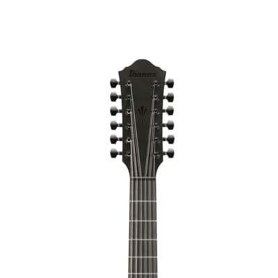 Ibanez AEG1221 12-String Acoustic-Electric Guitar - Black Out image 3