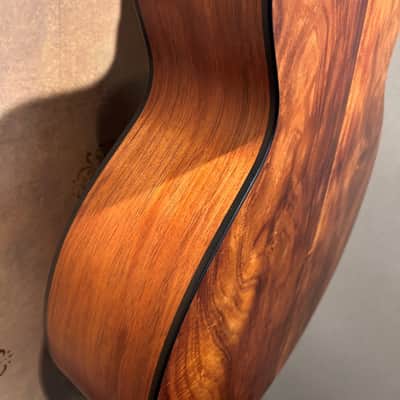 2004 Fall Limited Taylor 355ce-L7 - 12-String, Tasmanian Blackwood, Claria image 15