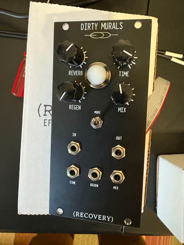 Recovery Effects and Devices Dirty Murals Delay Reverb Echo Eurorack Module image 1