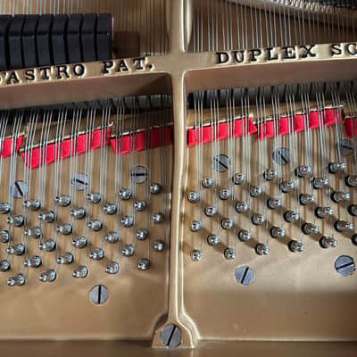 Steinway&Sons M 1916 - Mahogany Satin image 19
