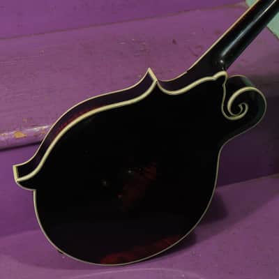 2024 Eastman MD-814 F-Style Carved-Top Mandolin (VIDEO! Fresh Work, Ready) image 14