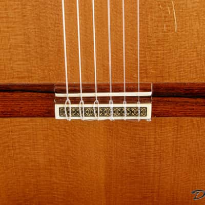 2008 Contreras II Double Tapa, Cocobolo/Cedar image 6