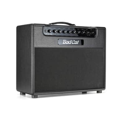 Bad Cat Tone Cat 2000's Black only around 20 of these amps were