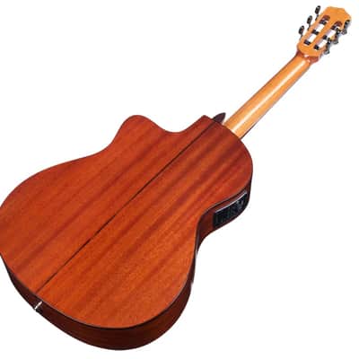 Cordoba Fusion 12, Nylon String Acoustic Guitar - Cedar image 5