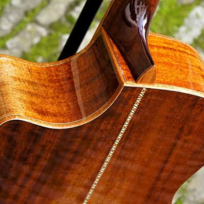 Eastman AC522CE-GB 2020 Gold Burst image 6