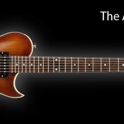 Aria Pro II PE 1500 RI, Antique Violin Finish! image 2