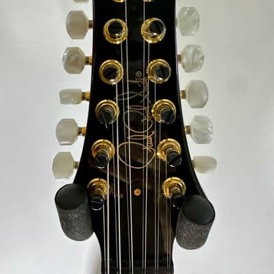 PRS Hollowbody 12 String & Case 2019 - Violet 10 Top. image 1