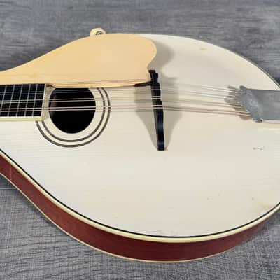 Gibson A-3 Mandolin 1919 - Ivory Top image 3