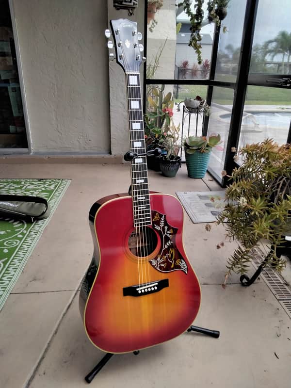 Morris WH-25 Hummingbird Acoustic Guitar Made in Japan | Reverb