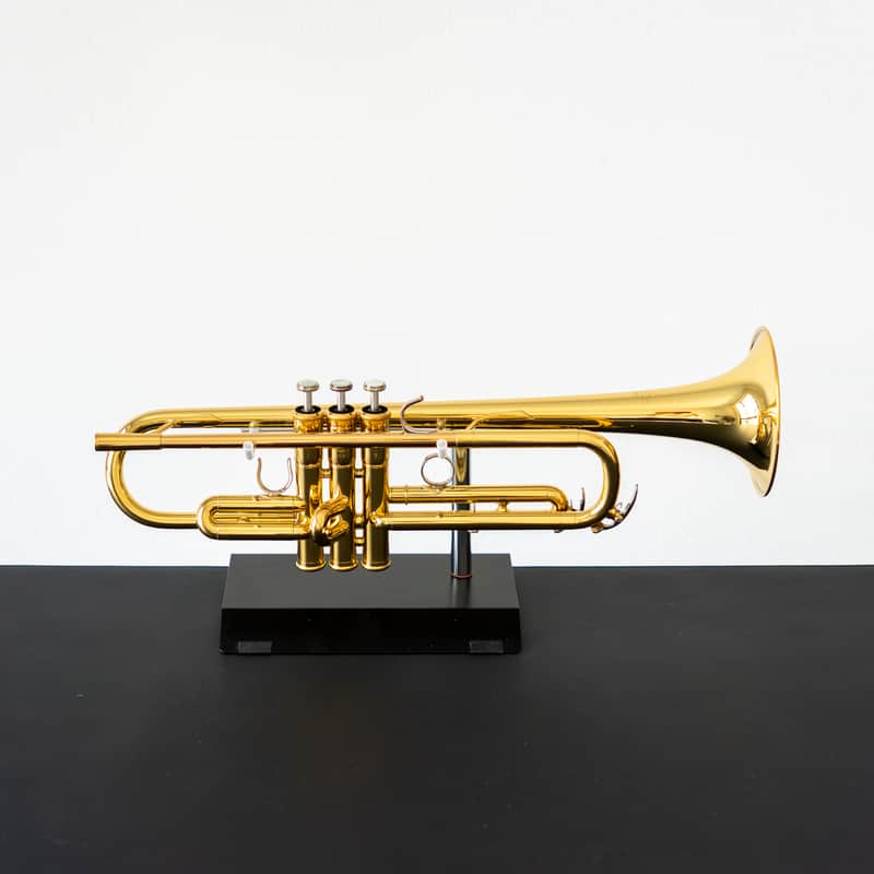 Yamaha YTR-6310Z Trumpet | Reverb