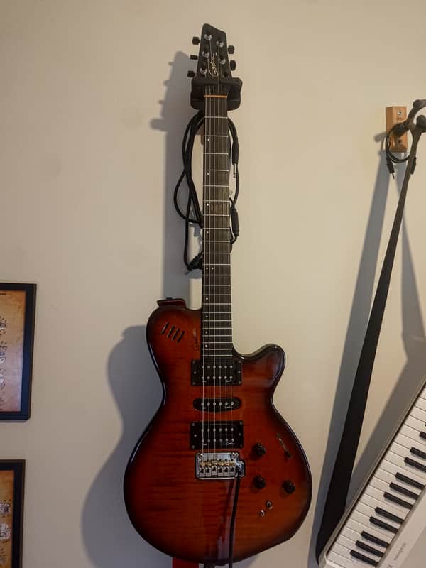 Godin xtSA 2010s - Light Burst image 1