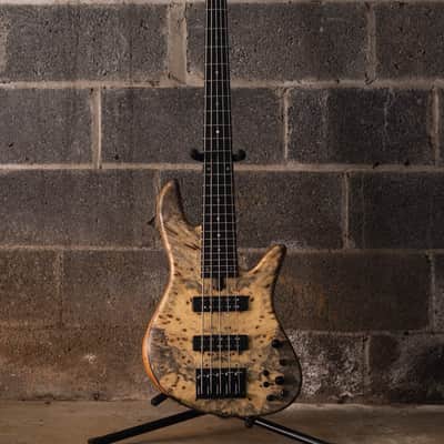 Fodera Emperor 5 Standard Special Buckeye Burl Butterfly (End-2024) image 3