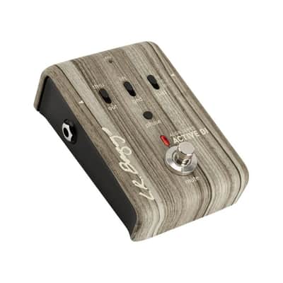 LR Baggs Align Active DI Acoustic Pedal image 3