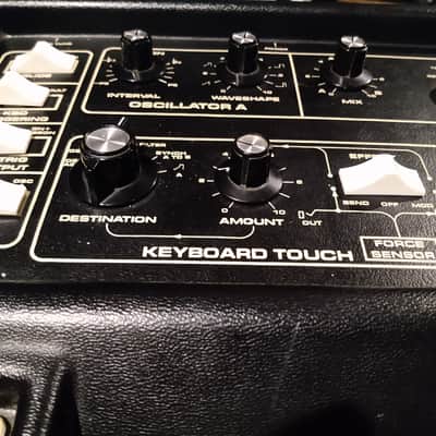 Moog Multimoog 1978 - 1981 - Black image 3