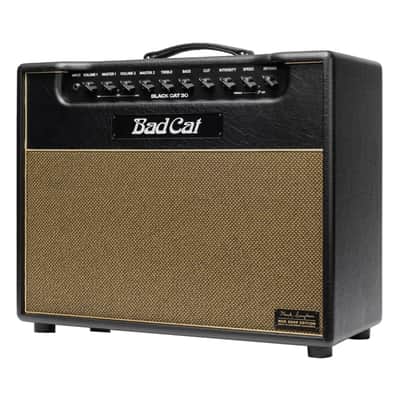 Bad Cat Mark Sampson Modded Black Cat 30-Watt 1x12" Tube Combo Amplifier image 3