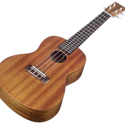 Cordoba UP100 Concert Ukulele Pack (Natural) image 4