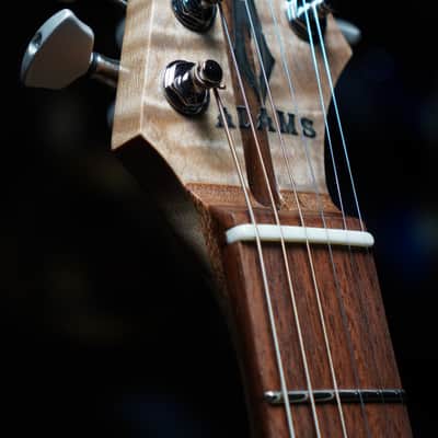 ADAMS GUITAR CO. Custom Handcrafted Electric Guitar "CHESTER DAVENPORT" image 8