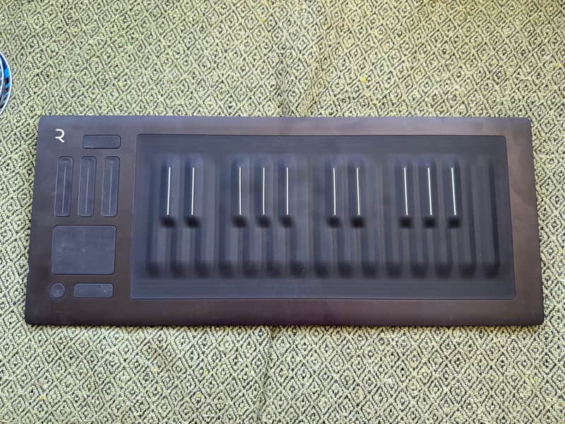 ROLI Seaboard RISE 25 2010s - Black image 1