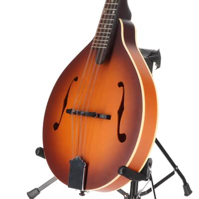 Recording King Dirty 30s A-Style Mandolin (M3)(60101) (60101) image 4