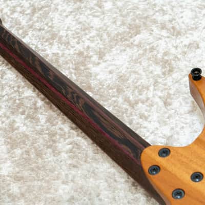 Strandberg  ~Master Artist Series~ Boden J6 RS-DNB -Riviere Bleue / RBL- 2022 [Made in Japan] image 11