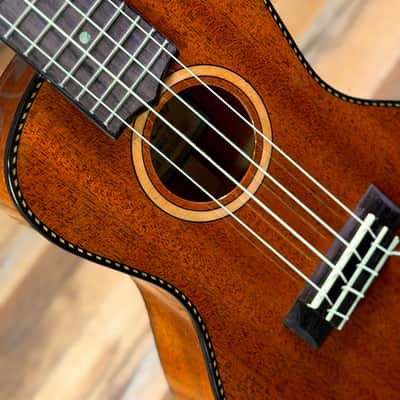 Lanikai MAS-C All-Mahogany Concert Ukulele - Gloss Natural image 4