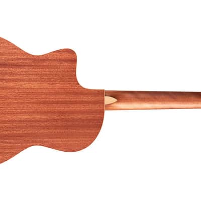 Cordoba C4-CE Nylon-String Acoustic-Electric Guitar, Mahogany, Edge Burst image 2