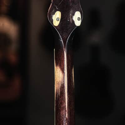 1928 Levin Model T 175 Tenor Banjo image 11