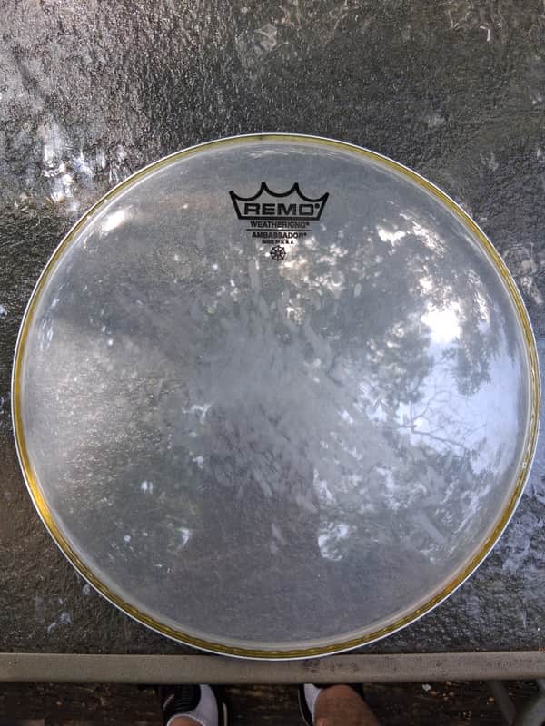 Remo Ambassador Clear Drum Head 10" 2010s - Clear image 1