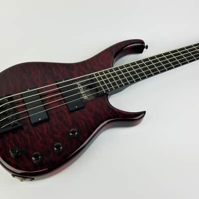 Modulus Quantum Five-String 2004 Transparent Cherry W/ OHSC image 1