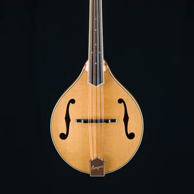 Bourgeois M5A Mandolin Full Aged Tone Adirondack Spruce and European Flamed Maple NEW image 2