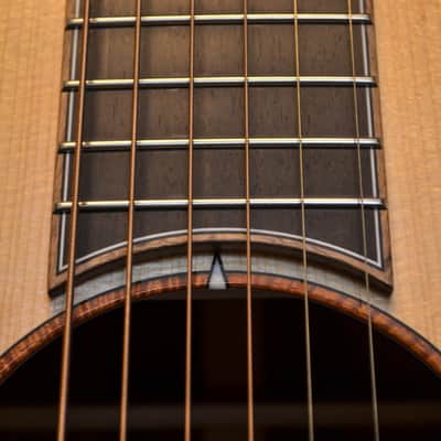Baden - American Made TJ Baden Guitar Madagascar image 15