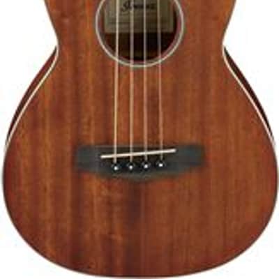 Ibanez Performance PNB14E Parlor Acoustic Electric Bass Guitar Open Pore image 1