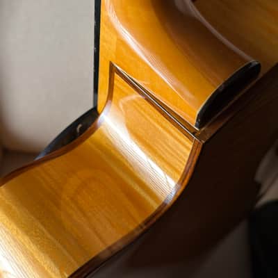 Eastman PG2 Pagelli Archtop 17" image 8