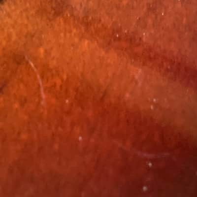Fender American Professional Telecaster with Maple Fretboard 2017 - 2019 - 3-Color Sunburst image 11