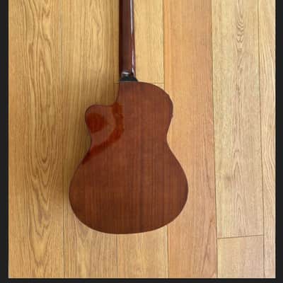 andalusia AG-6 G Guitare classique electro acoustique pan coupé Style Espagnole image 13