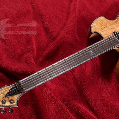 B.C. Rich Mockingbird Extreme Exotic with Floyd Rose Left Hand EXMGFRSMLH 2020 Spalted Maple image 4