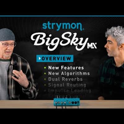 Strymon Big Sky MX incl. Strymon 9V 667mA Power Supply - Bundle Set image 7