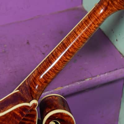 1981 Paul Wooldridge F-Style Carved Mandolin (VIDEO! Fresh Work, Ready) image 15